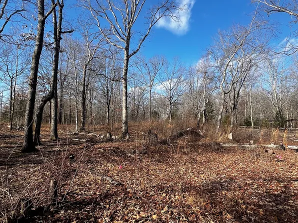 0 Bull Run, Beechgrove, TN 37018