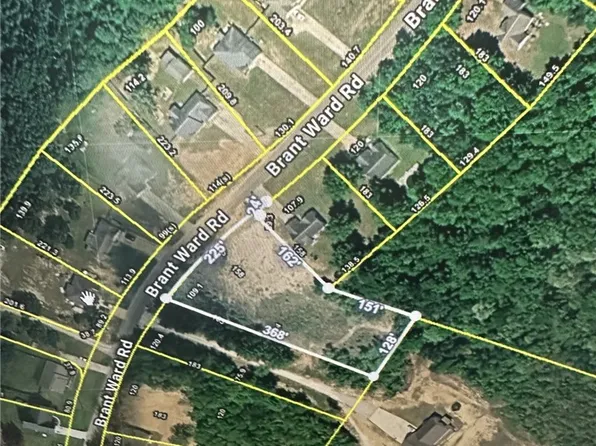 6R Brant Ward Rd, Cottondale, AL 35453