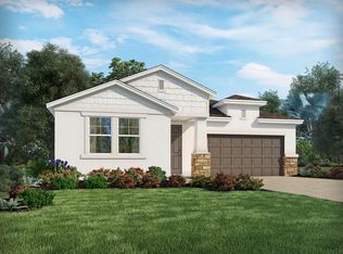 11836 Cara Field Ave, Riverview, FL 33579
