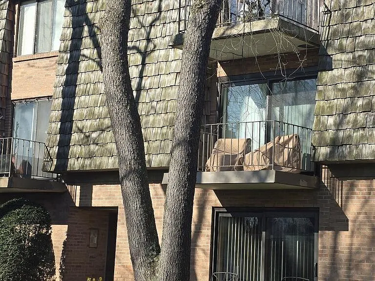 824 Forest Green Dr — Photo 7
