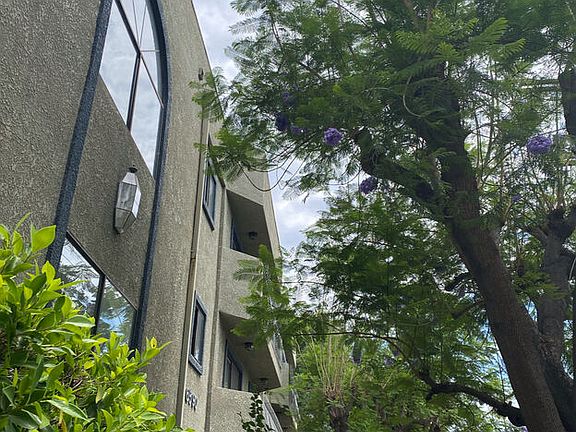2nd image of 6590 Hazeltine Ave #307