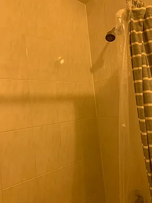 Rented by PD Properties LLC | media 16