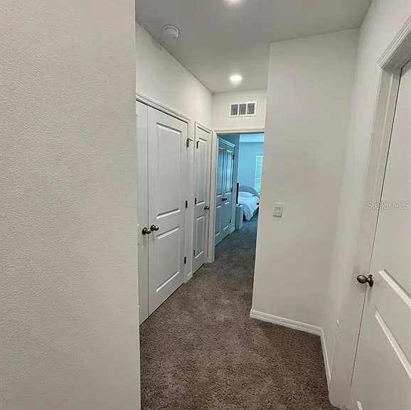 32599 Turtle Grace Loop — Photo 14