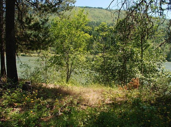 5th image of 0 E Joyner Dr