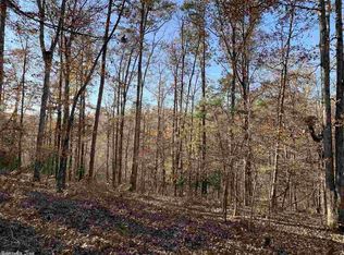 221 Red Hawk Cir, Paron, AR 72122