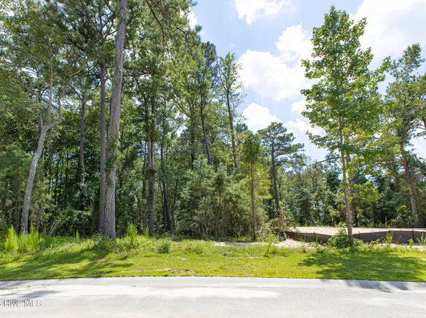 6077 Ocean Isle Palms Way SW Lot 160, Shallotte, NC 28470