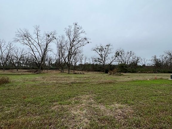 3rd image of 172 Belmont Dr