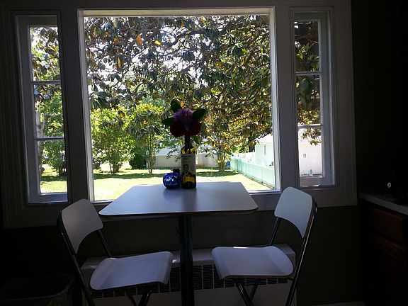 Kitchen window