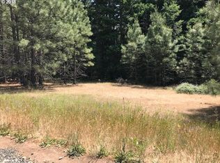 41 Meadows Loop, Lyle, WA 98635