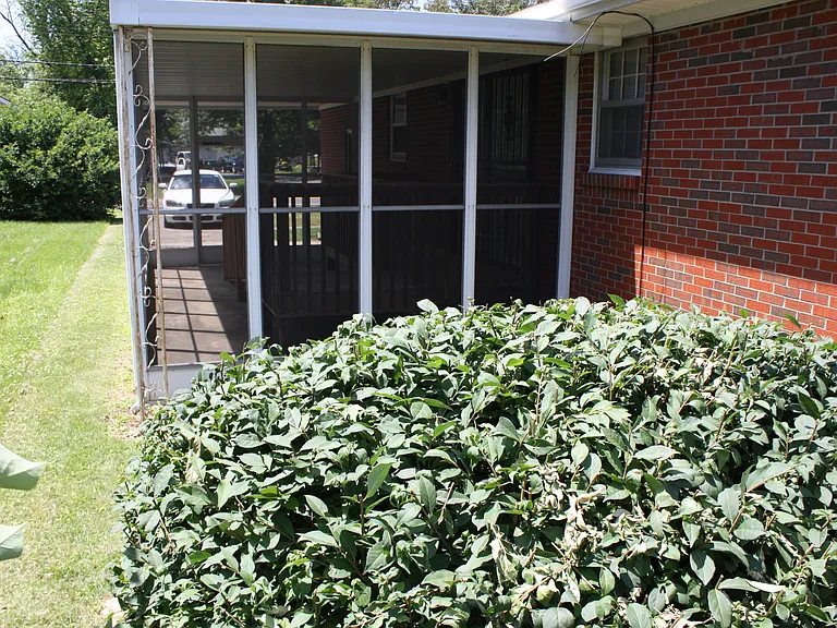 9300 Fern Creek Rd — Photo 34