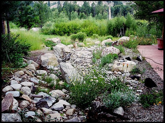 Dry Creek with Spring