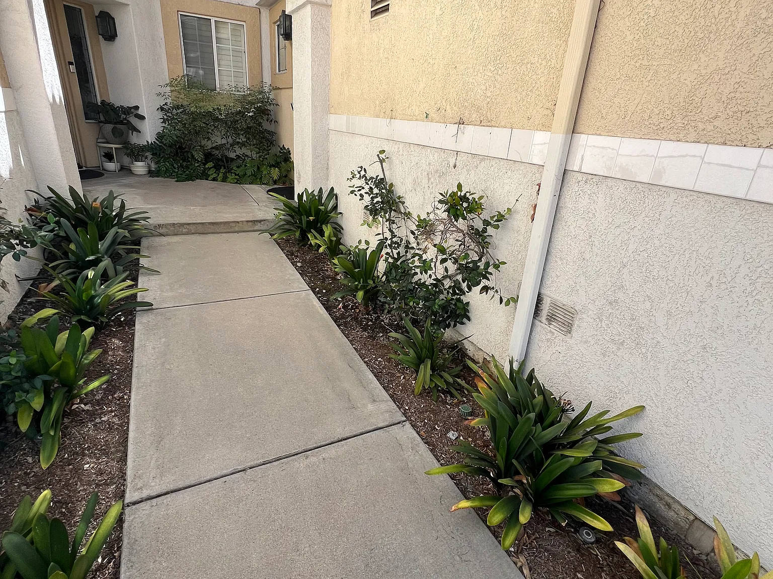 2 bed, 1123 sqft, $4,950 — Photo 3