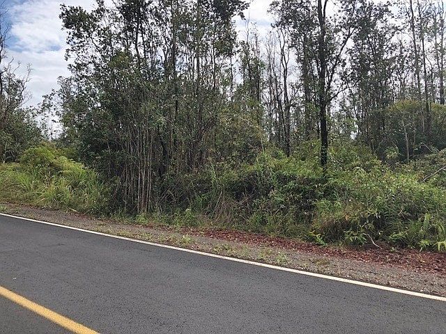 2nd image of Tree Fern Dr Lot 48