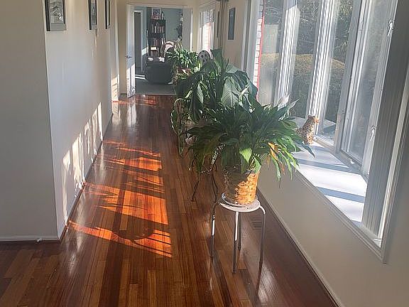 Hallway -Wood floors