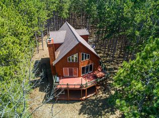 4536 Youngdyke Rd, Central Lake, MI 49622