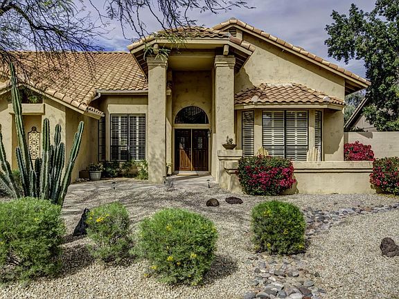 ForagentWindrose00017