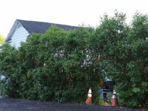 Property Rear View