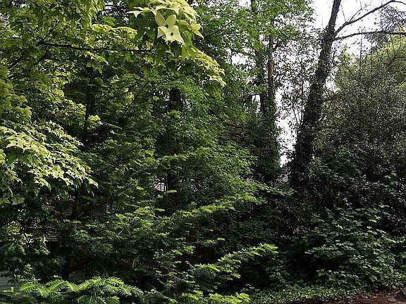 May 2018