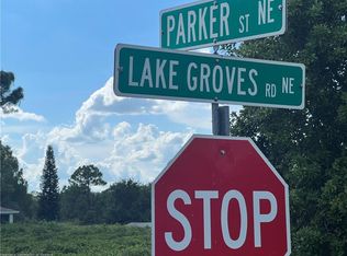 353 Parker St NE, Lake Placid, FL 33852