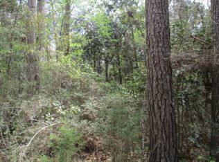 13873 NW Shuman Ferry Rd, Altha, FL 32421