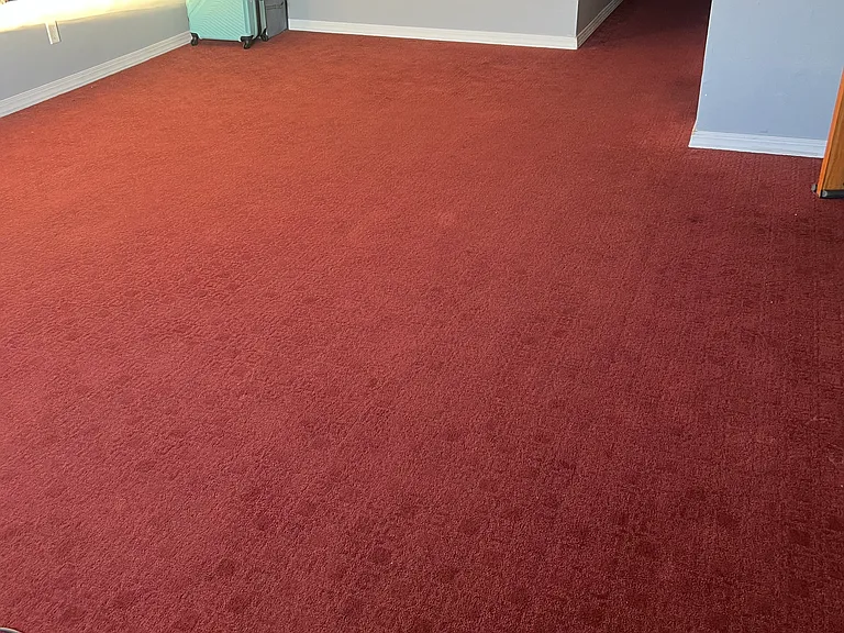 845 Monroe Ave #2 — Photo 4