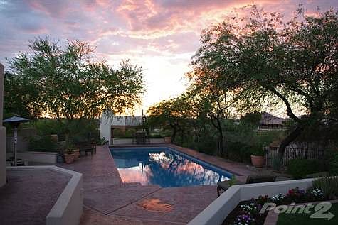 Backyard at Sunset