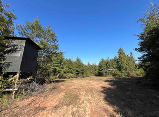 County Road 1579 #1, Avinger, TX 75630