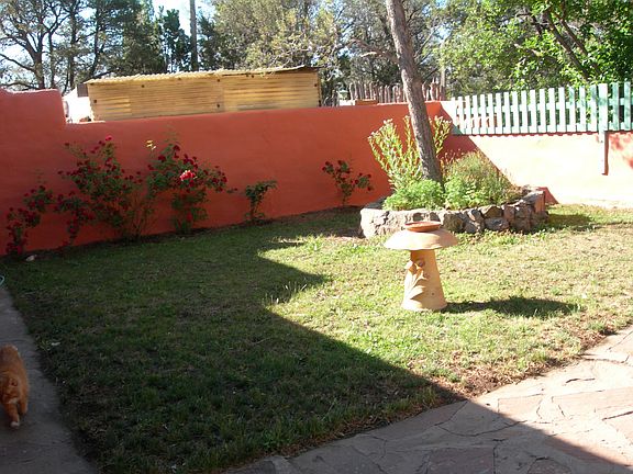 back yard