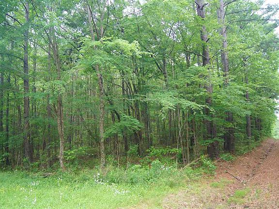 5th image of 600 Holmes Hollow Ln
