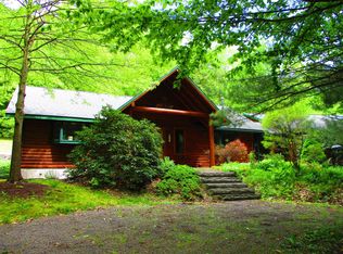 115 Sparrowhawk Lake Rd, Schenevus, NY 12155