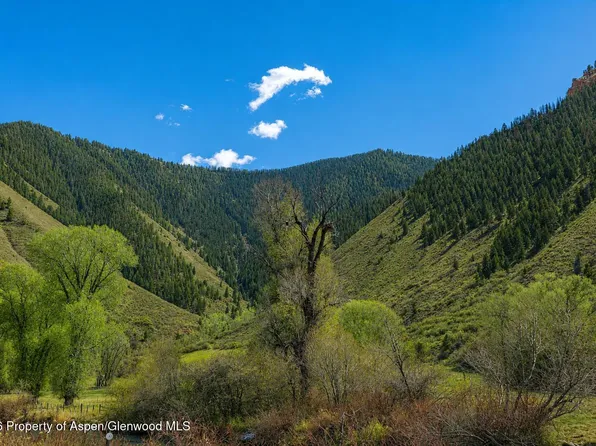 123 Wapiti Way, Basalt, CO 81621