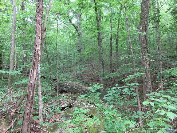 4th image of 1976 County Road 401