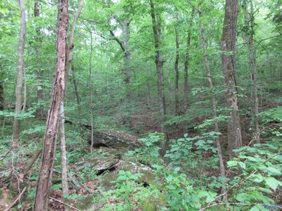 2025 County Road 74, Bridgeport, AL, 35740
