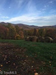 0 Stayman Ln, Stuart, VA, 24171