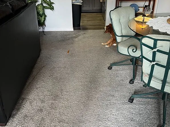 80 Moree 2 Loop, Winter Springs, FL 32708