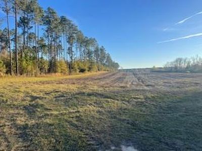 0 Satilla Church Rd, Wray, GA, 31798
