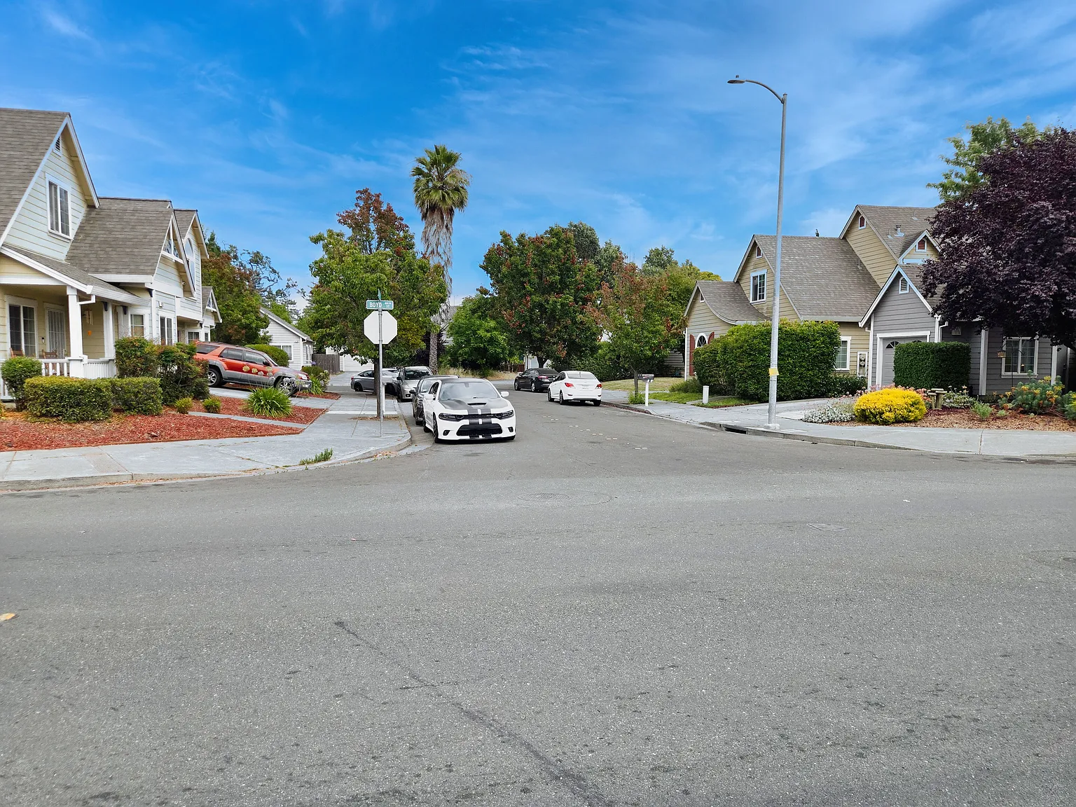 2 bed, 800 sqft, $3,500 — Photo 4