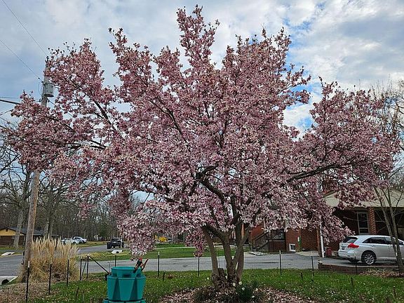 4th image of 15505 Maple Dr