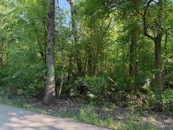 TRACT-2-A Melancon Rd, Saint Amant, LA 70774