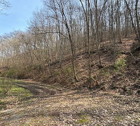 3rd image of 0 Robinson Hollow Rd