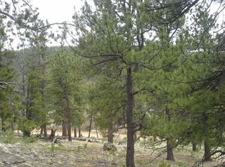 83 Appleby St, Bailey, CO 80421