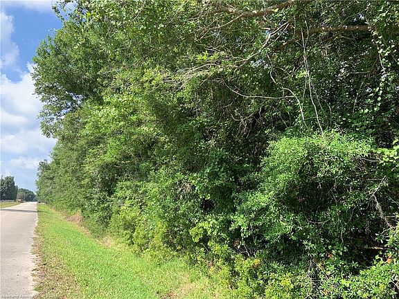 2nd image of Raccoon Road
