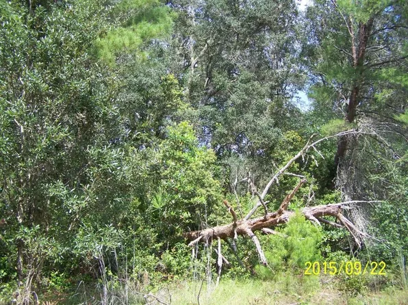 116 Waites Dr, Florahome, FL 32140