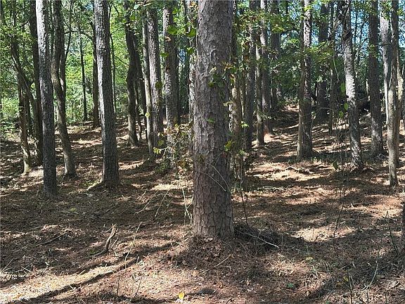 5th image of 2530 Roper Rd