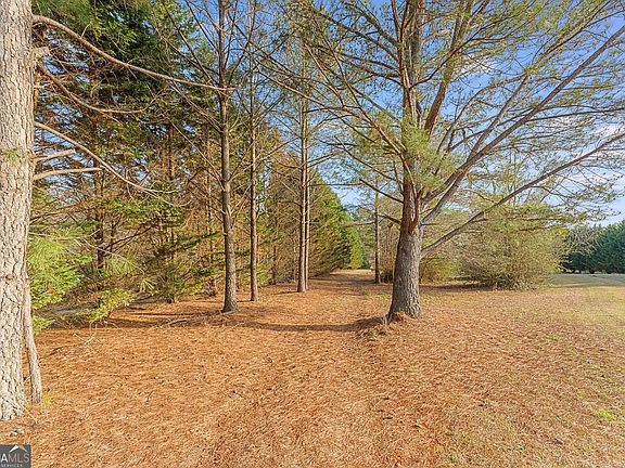 5th image of 784 Powderbag Creek Rd