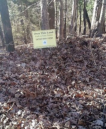 3rd image of 34 Fawn