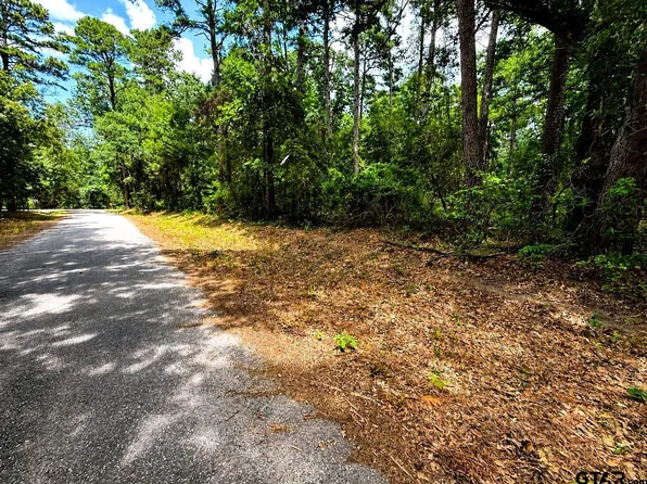 4 County Road 4557, Winnsboro, TX 75494