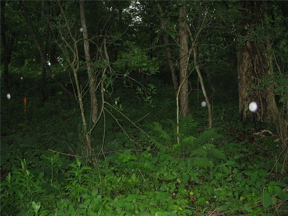 2nd image of 00 Campbell Rd
