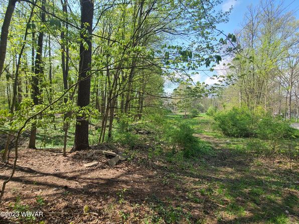 125 Dry Run Rd, Lamar, PA 16848