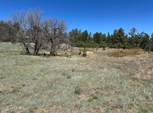 1301 S Lakeside Trail #33, Show Low, AZ 85901